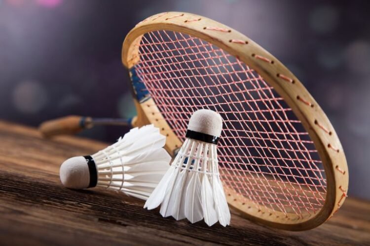 Raket Badminton Untuk Pemula (Foto: pinterest.com)