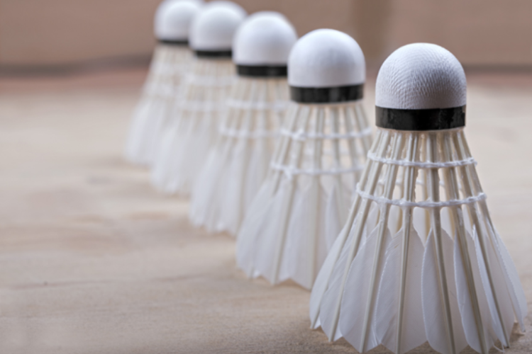 Tips Memilih Shuttlecock (Foto: priceza.co.id)