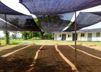 Pengertian Paranet dan Fungsinya: Pilihan Ideal untuk Pertanian Modern